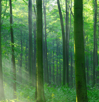 恒峰g22(国际)官网入口-天天有惊喜