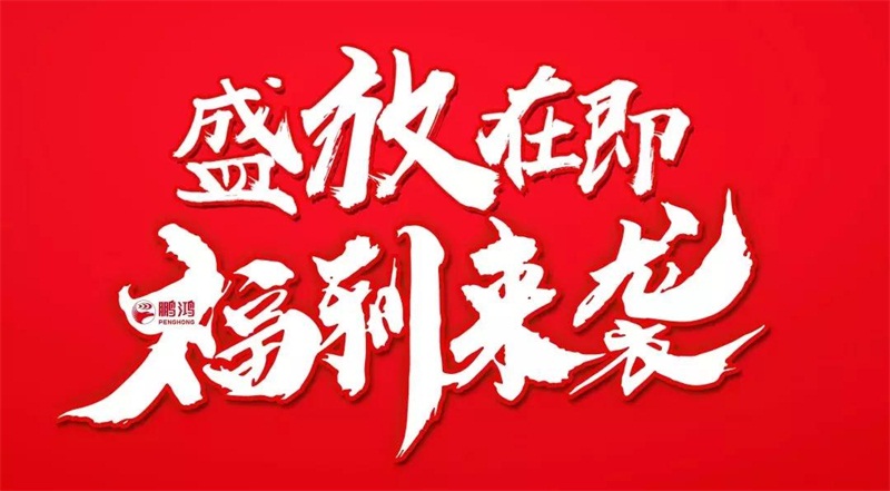 再拓领土！恒峰g22We+定制&红星美凯龙携手亮相乌鲁木齐