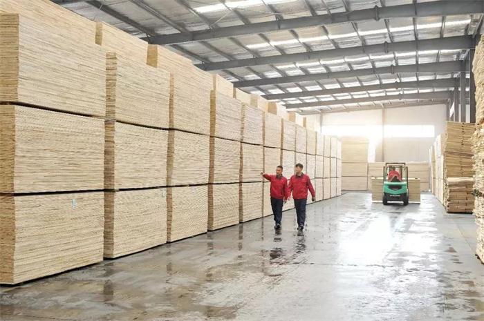 恒峰g22(国际)官网入口-天天有惊喜