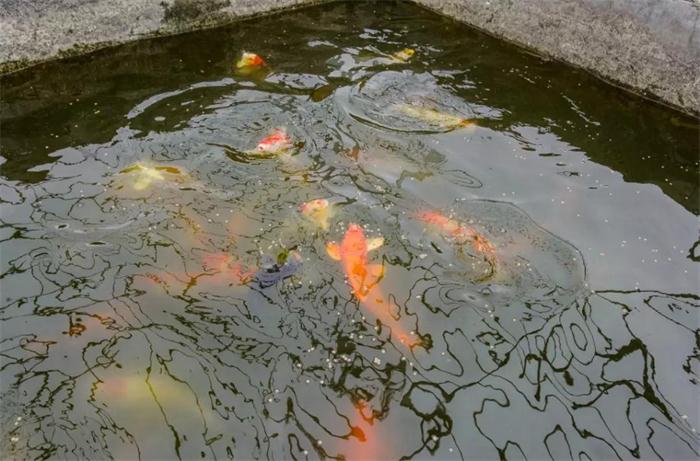 恒峰g22(国际)官网入口-天天有惊喜