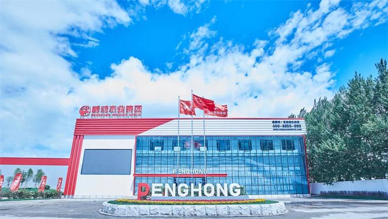 恒峰g22(国际)官网入口-天天有惊喜