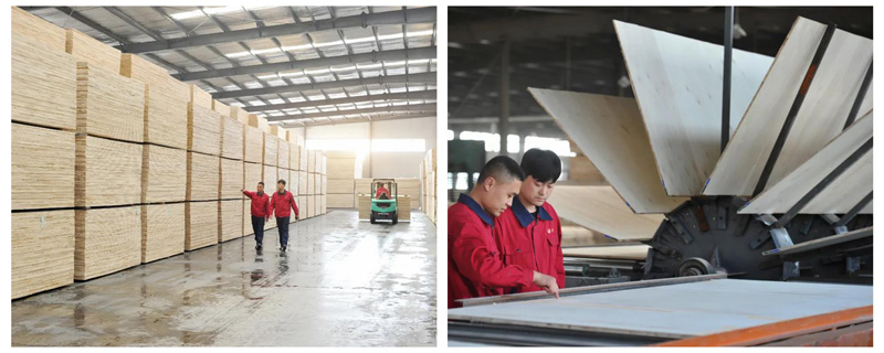 恒峰g22(国际)官网入口-天天有惊喜