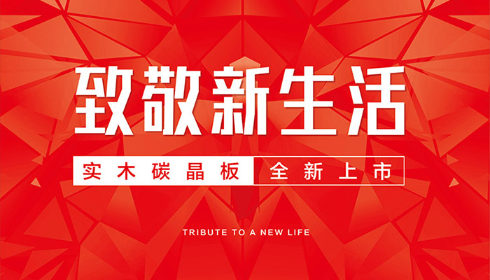 恒峰g22实木碳晶板全新上市