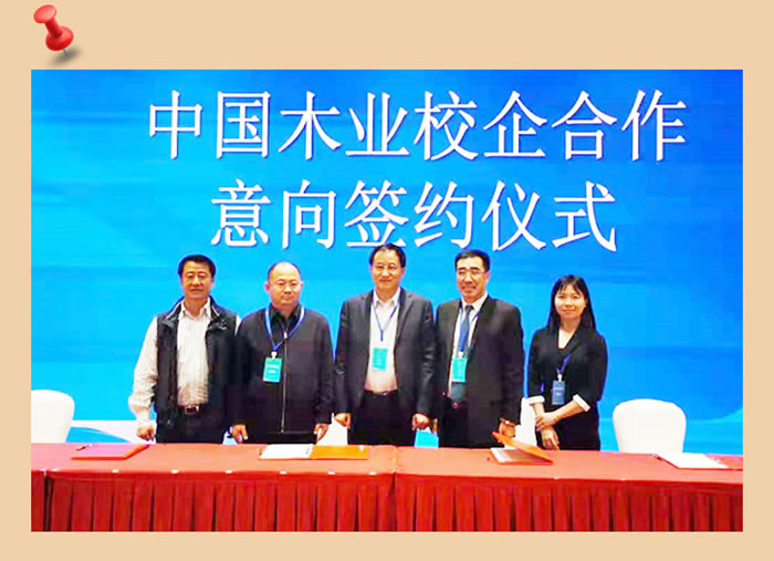 恒峰g22与中国木业相助