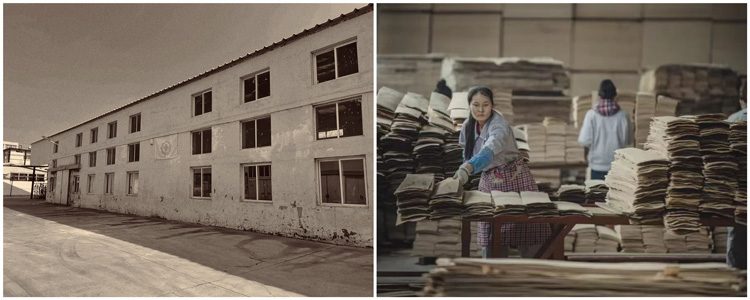 恒峰g22(国际)官网入口-天天有惊喜