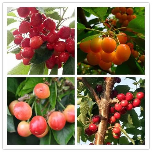 恒峰g22(国际)官网入口-天天有惊喜