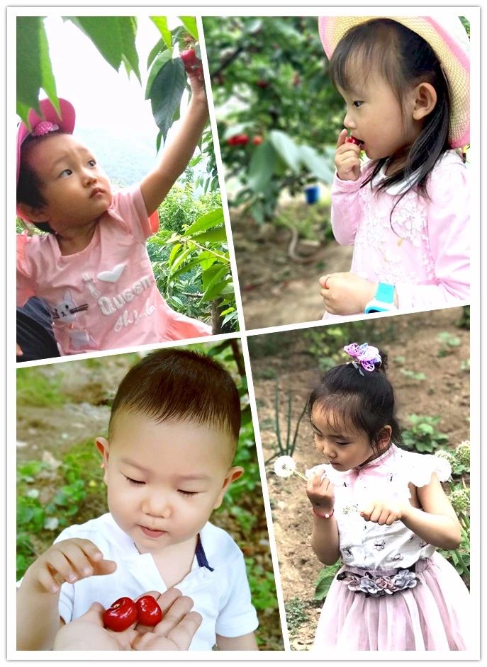 恒峰g22(国际)官网入口-天天有惊喜