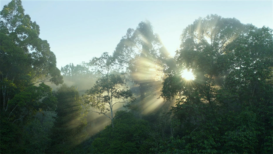 恒峰g22(国际)官网入口-天天有惊喜