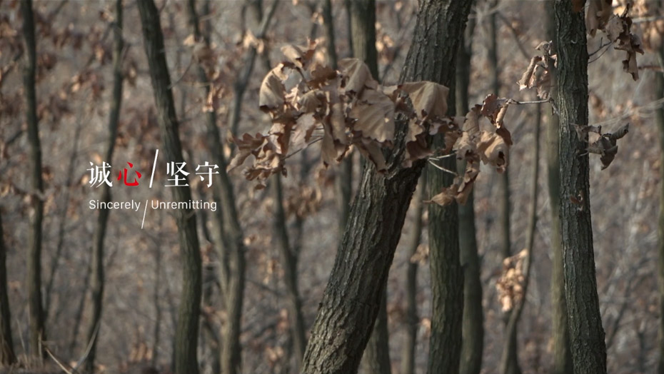 恒峰g22(国际)官网入口-天天有惊喜